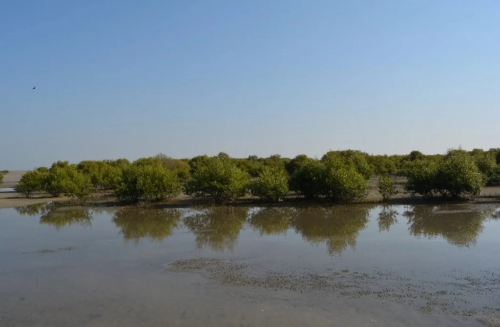 marine-national-park-jamnagar