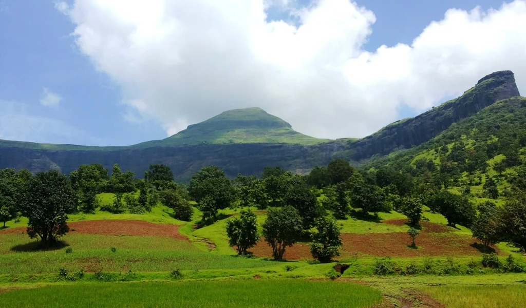 Brahmagiri Hills